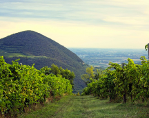 Relax e benessere hotel Padova | Hotelvalbrenta.com