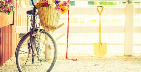 Relax e benessere hotel Padova | Hotelvalbrenta.com