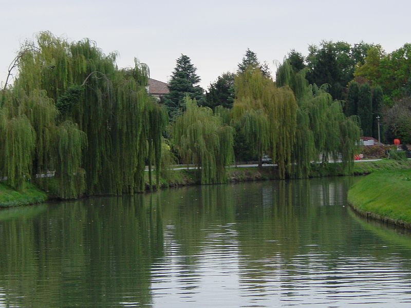 Fiume Brenta | Hotelvalbrenta.com